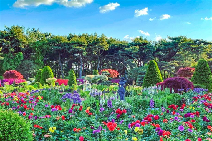 碧草池水木园4 碧草池水木园4