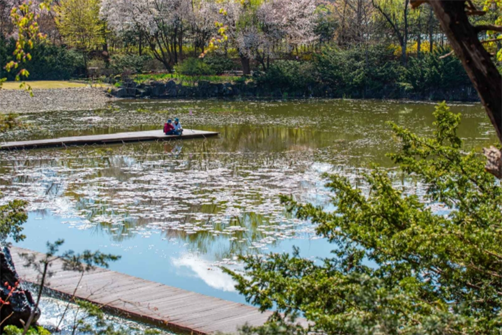 碧草池水木园2 碧草池水木园2