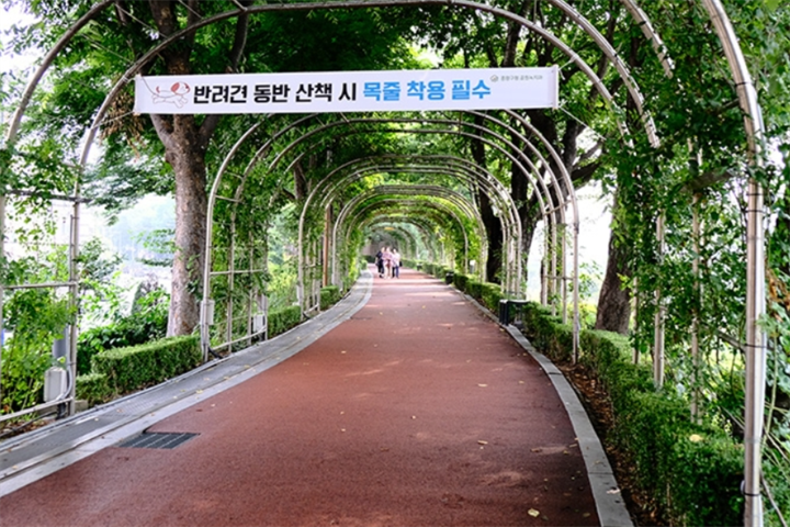 中浪玫瑰公园3 中浪玫瑰公园3