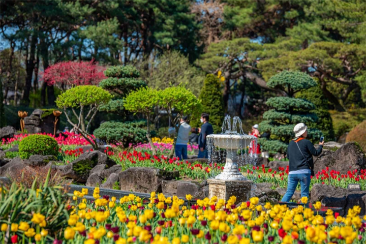 碧草池水木园1 碧草池水木园1