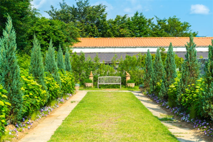 高城河妮薰衣草农场2 高城河妮薰衣草农场2