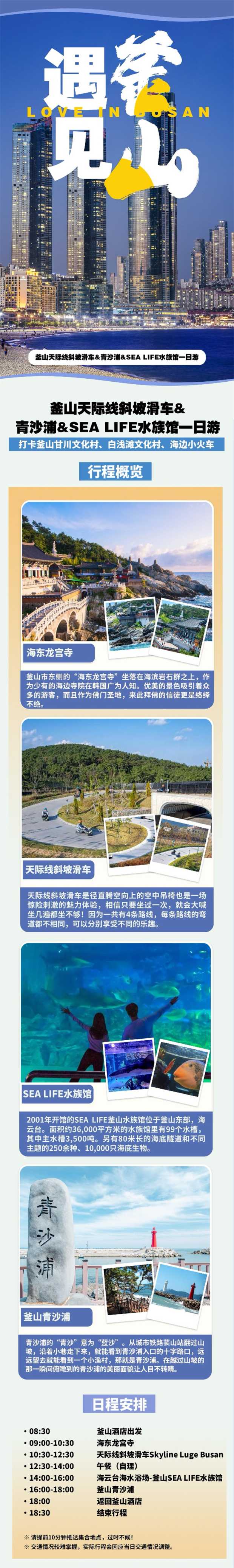 7）釜山天际线斜坡滑车&青沙浦&SEA LIFE水族馆一日游1
