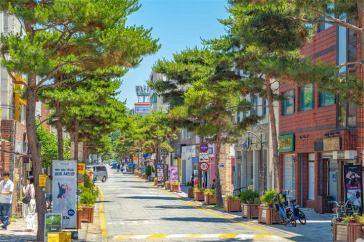 行理团路1