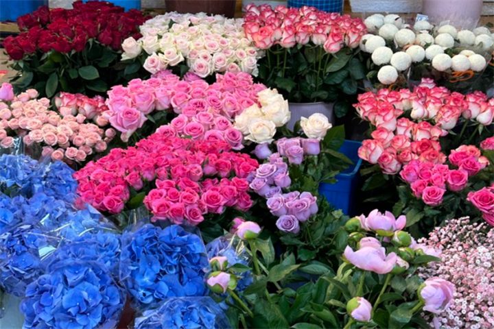 高速客运花3
