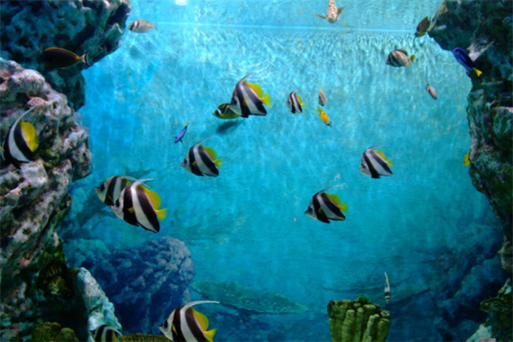 花津浦海洋博物馆4
