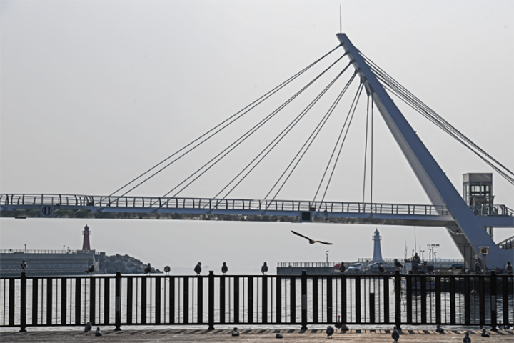 大浦港2