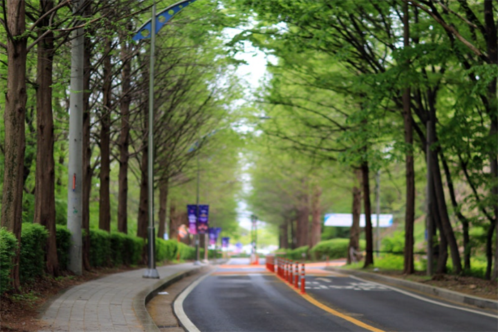 和平公园路2
