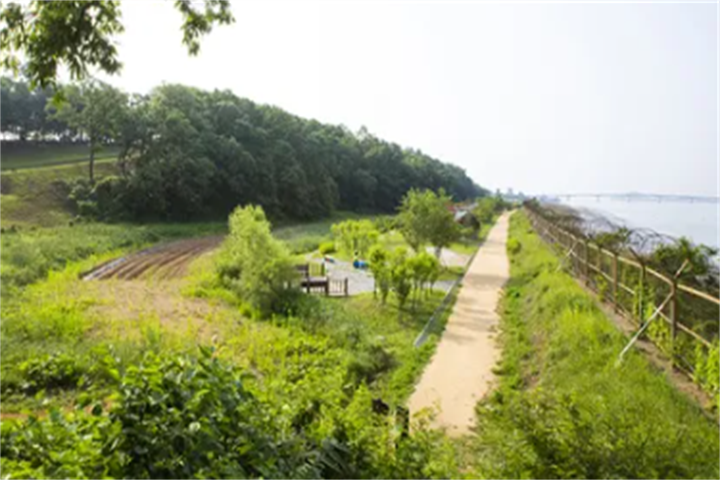 和平公园路1