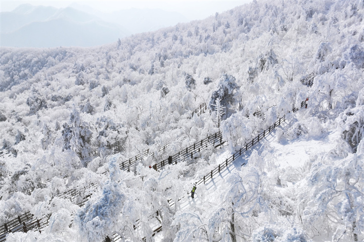 发旺山3
