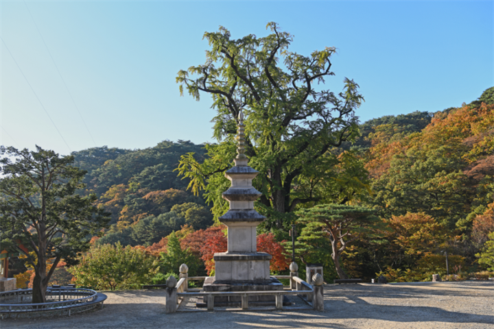 龙门寺2