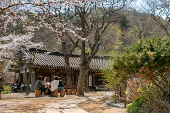 传灯寺4