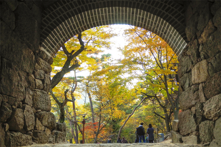 传灯寺2