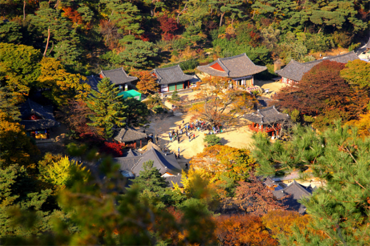 传灯寺1