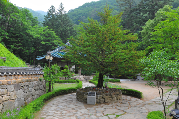 净岩寺3