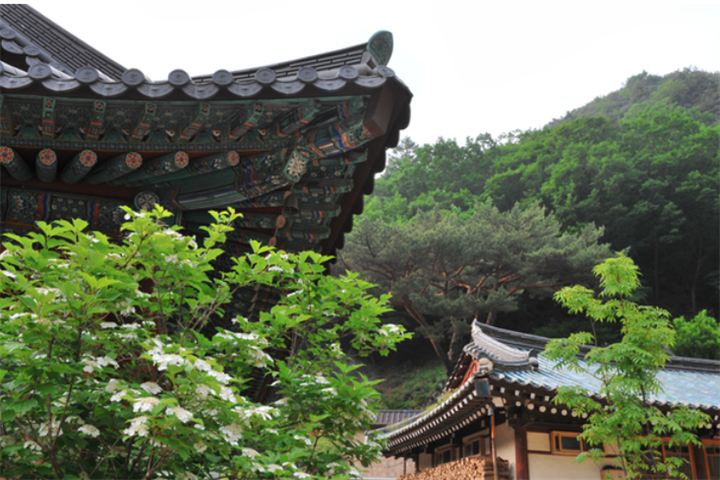 净岩寺2