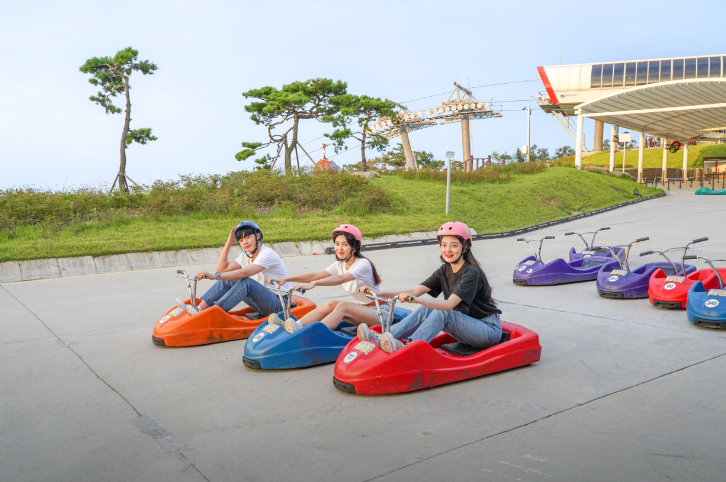 luge3