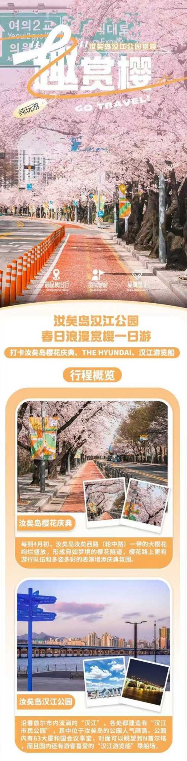 汝矣岛汉江公园赏樱一日游