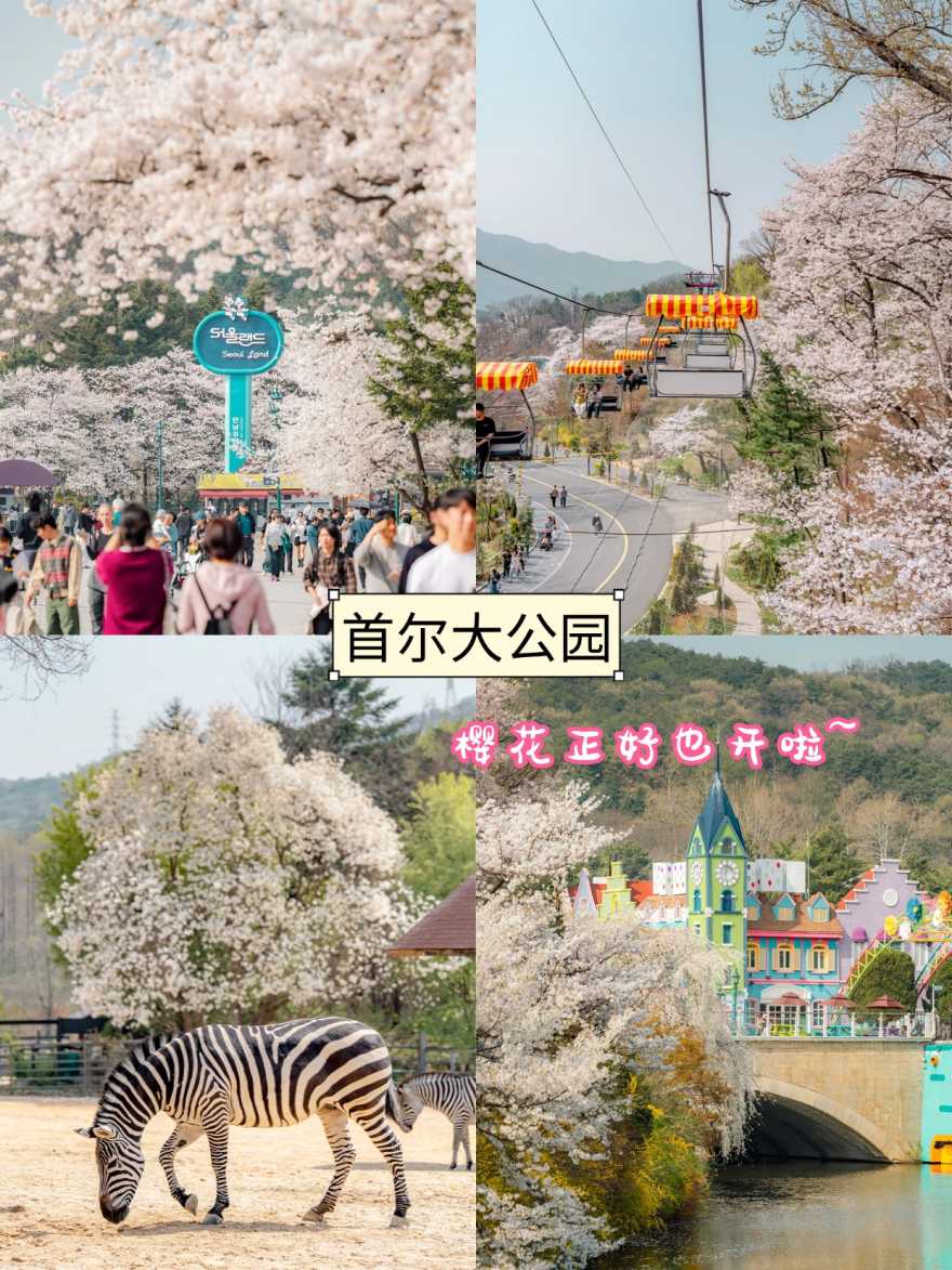 稿定设计-7 稿定设计-7
