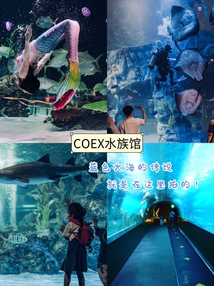 稿定设计-8 稿定设计-8