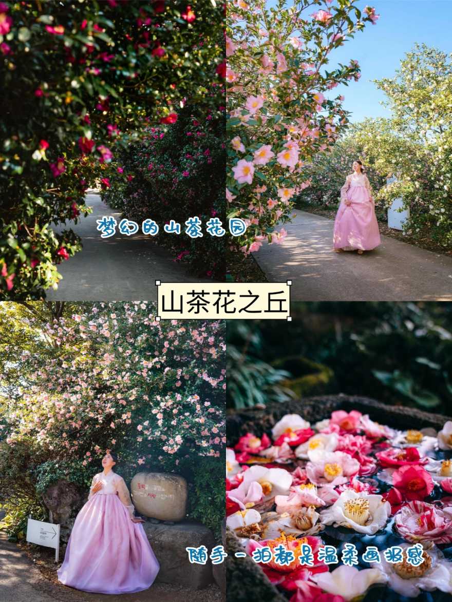 稿定设计-5