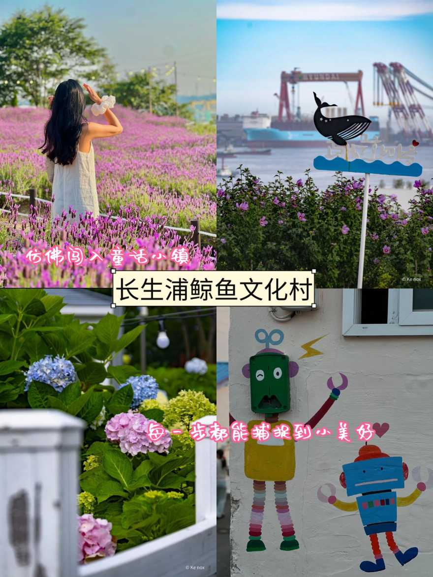 稿定设计-4