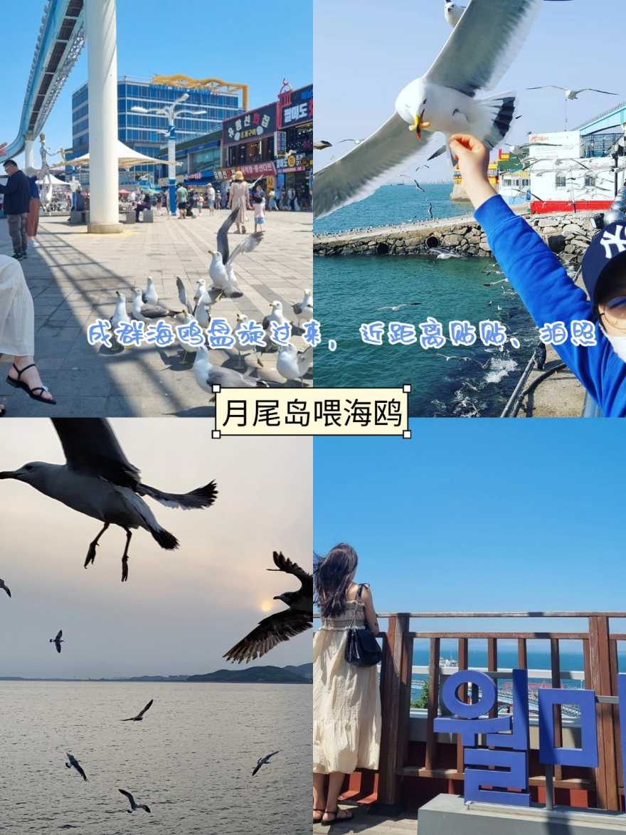 稿定设计-5