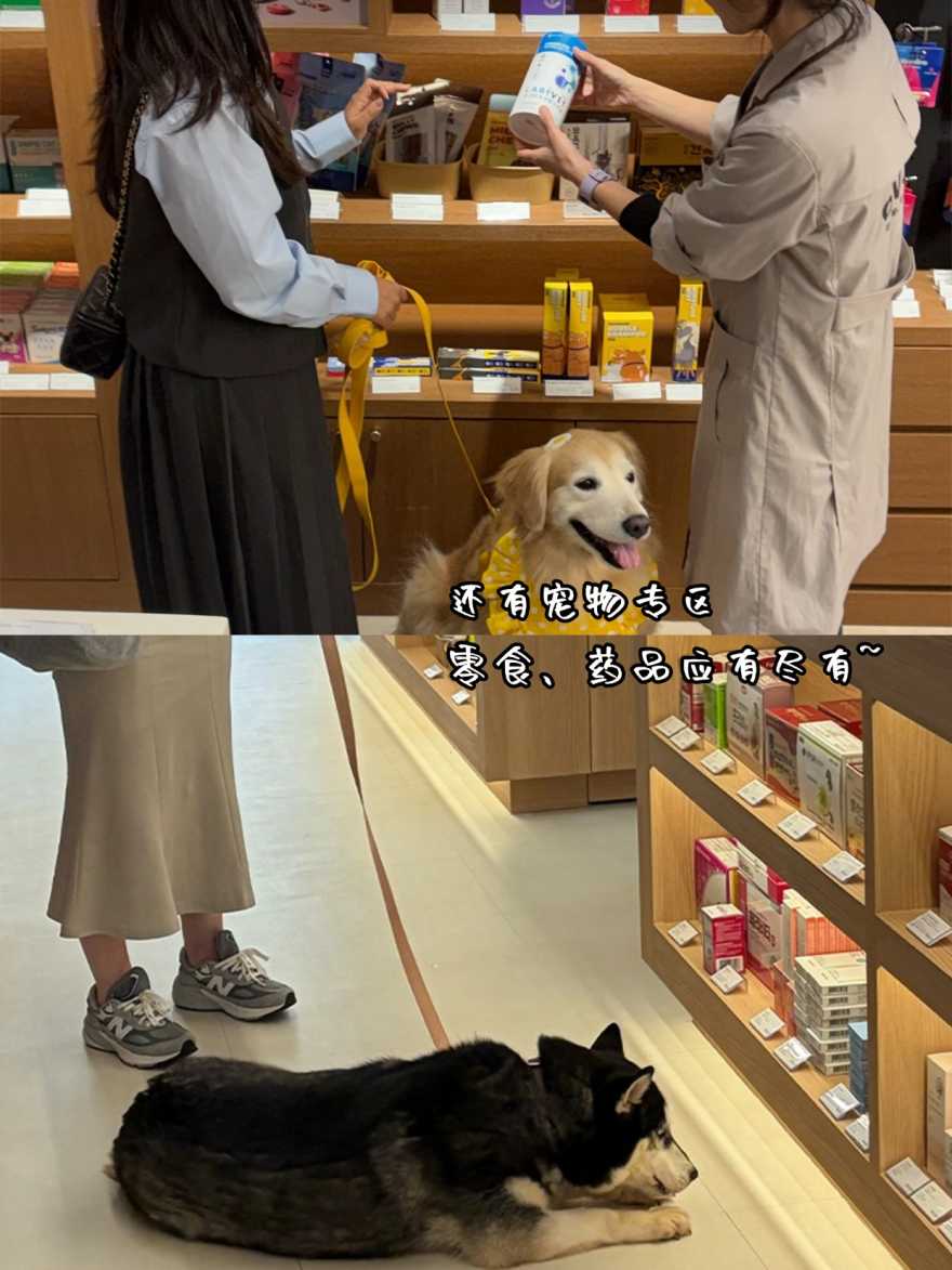 稿定设计-6