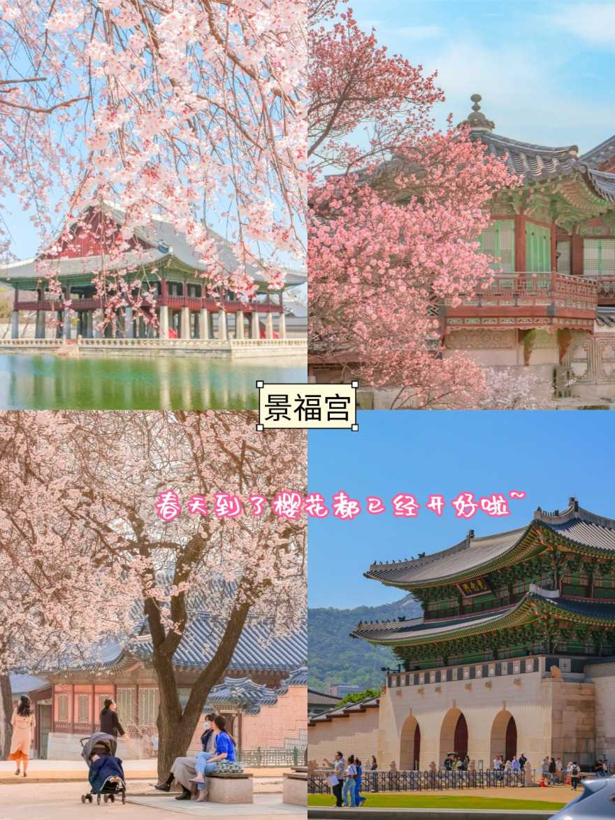 稿定设计-5 稿定设计-5