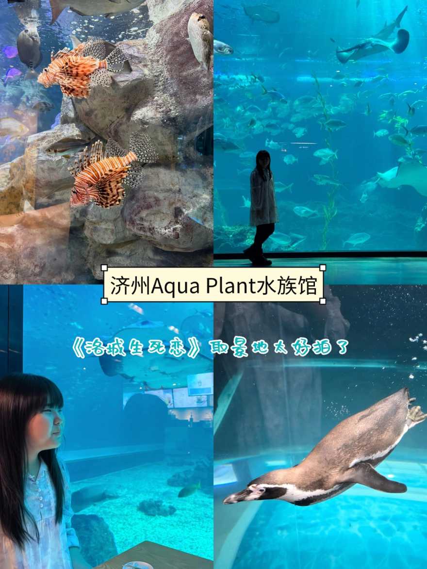稿定设计-7