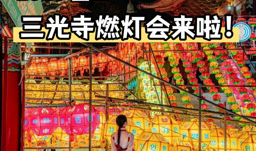 首发！2026釜山三光寺燃灯会，美到失语！