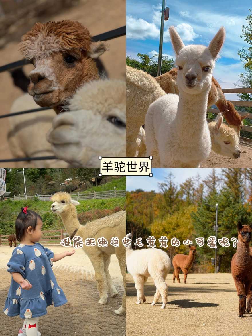 稿定设计-8 稿定设计-8