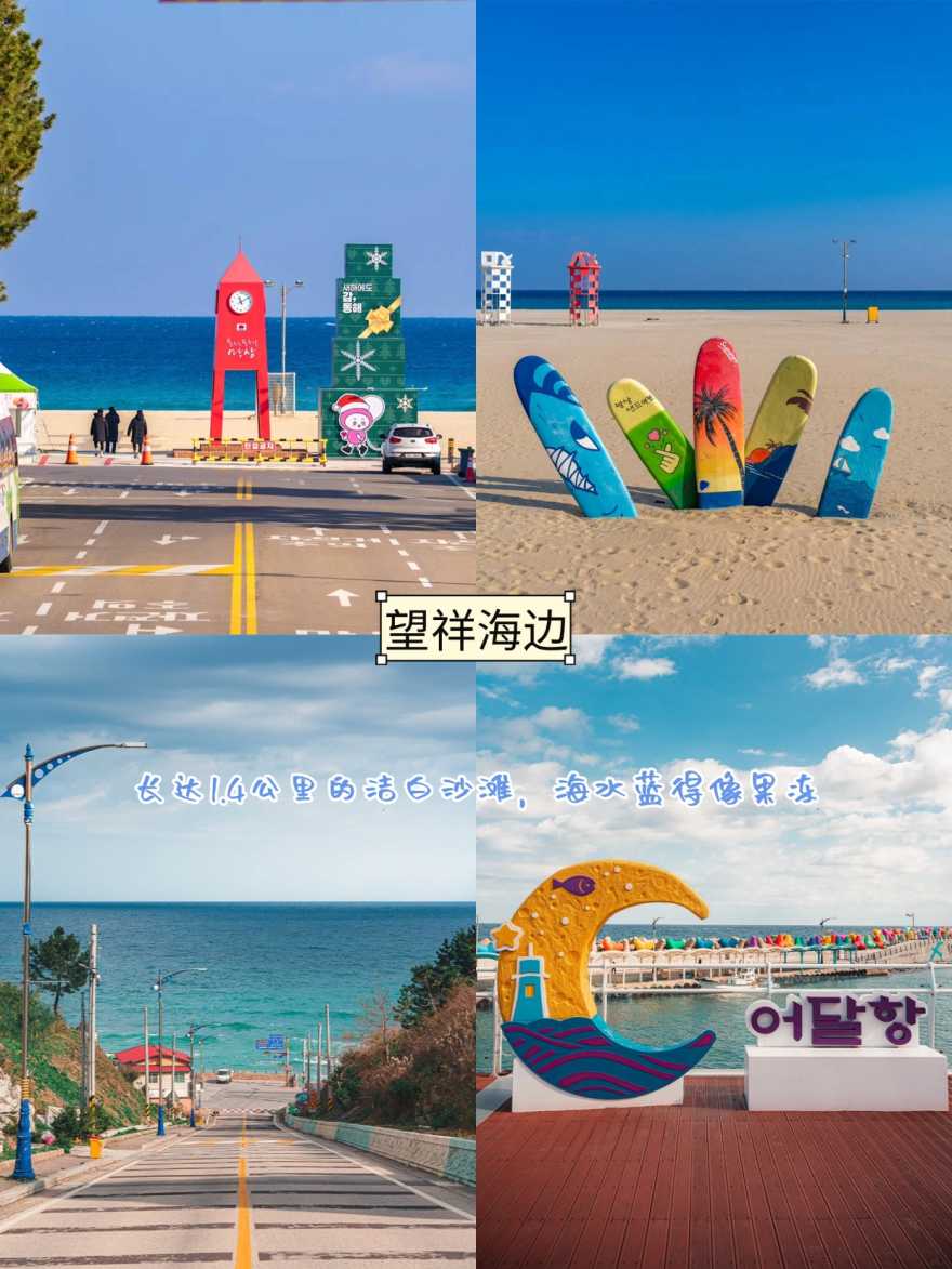Instagram_456510608_Trazy_Koreas_1_Travel_Shop_1770975718_4