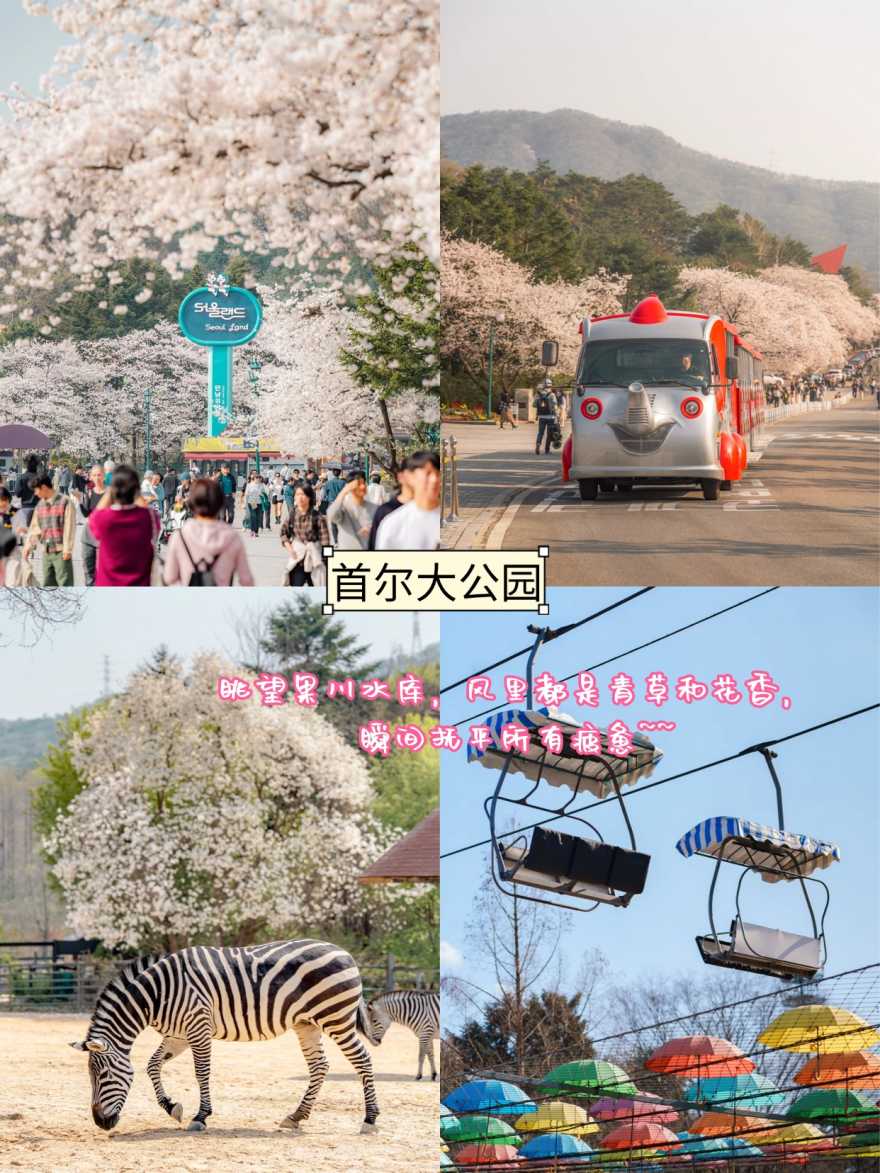 稿定设计-4