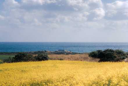 济州牛岛&城山日出峰&韩剧拍摄地一日游攻略