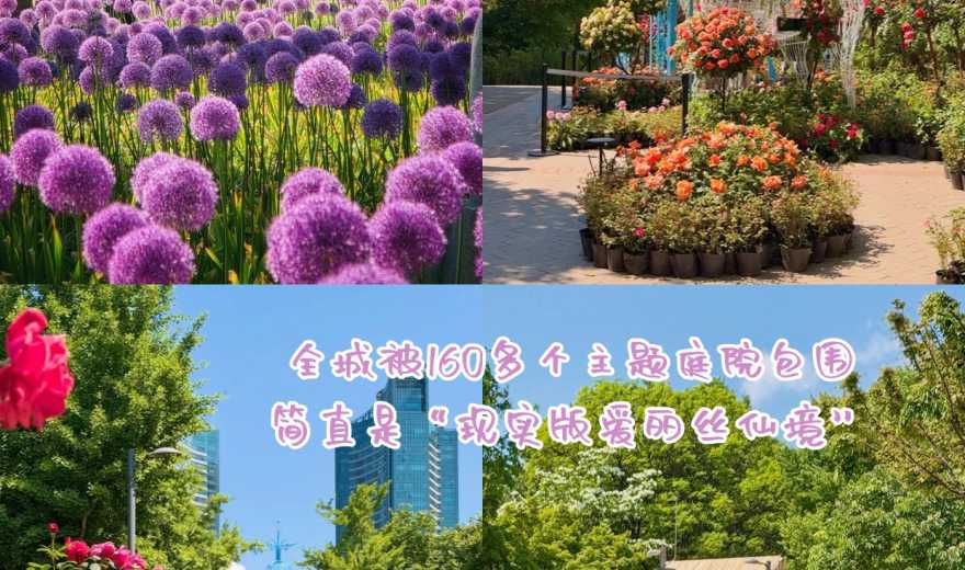 71万㎡现实版“爱丽丝仙境”！首尔林这次杀疯了，2026 首尔顶流盛会！