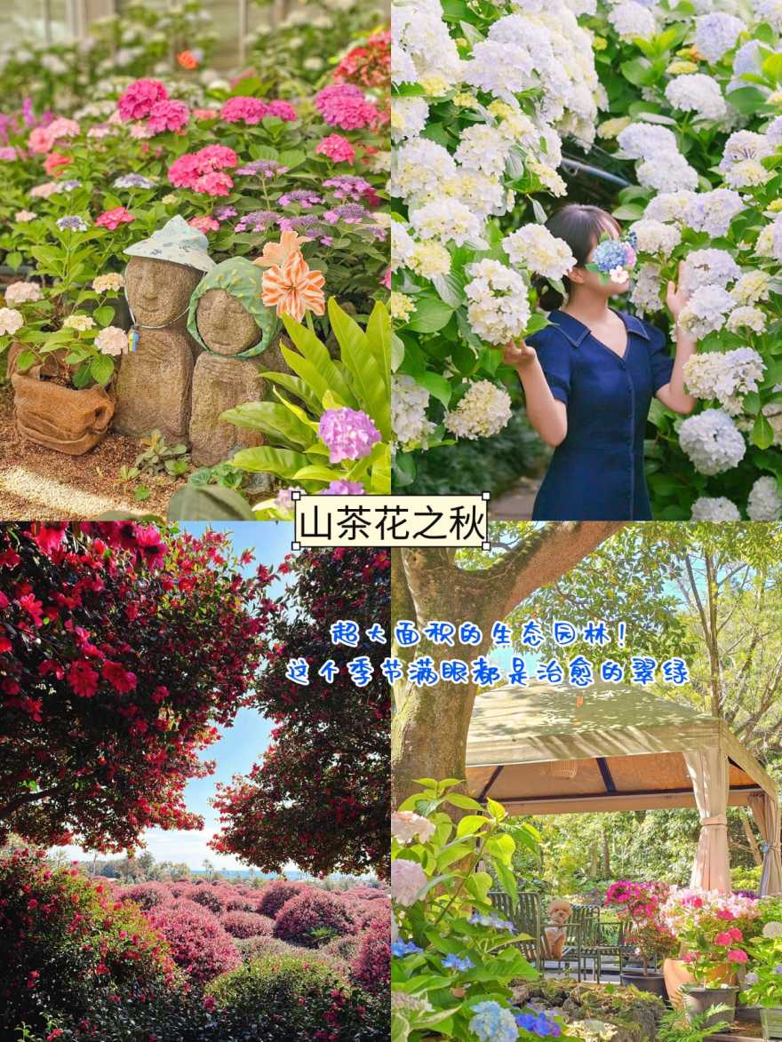 稿定设计-6