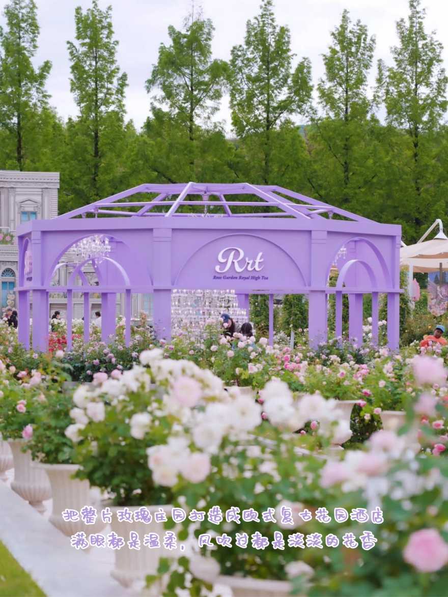 稿定设计-3 稿定设计-3
