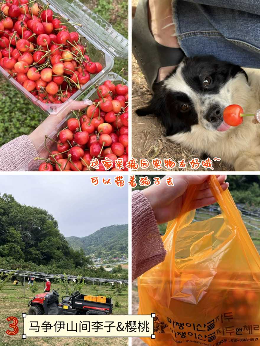稿定设计-6