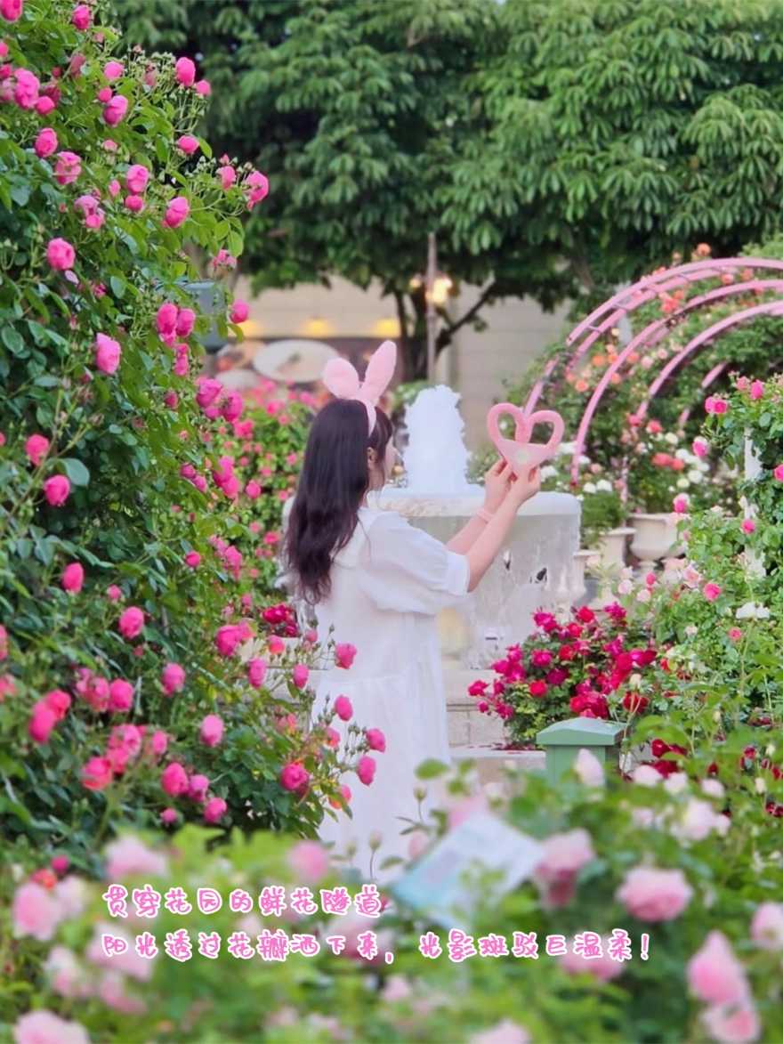 稿定设计-4 稿定设计-4