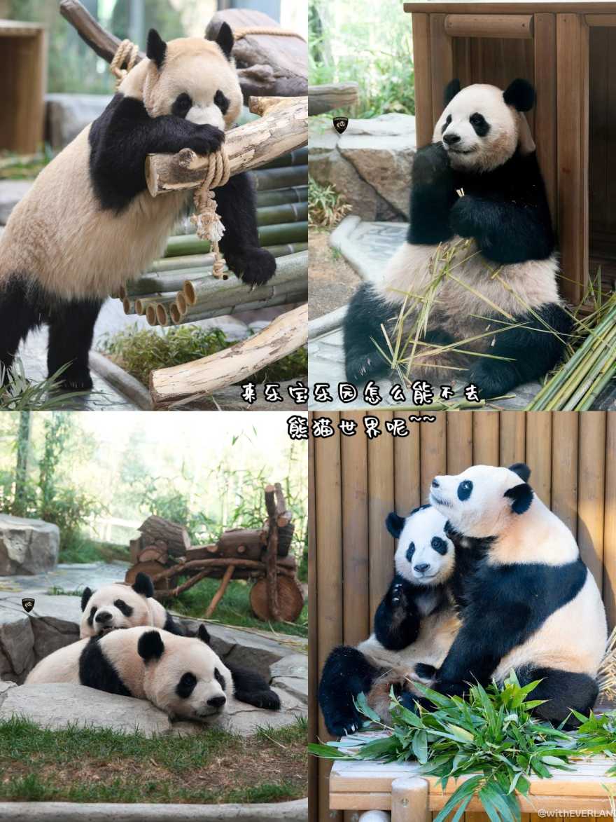稿定设计-7 稿定设计-7