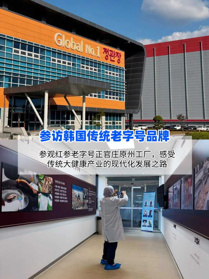 稿定设计-4 稿定设计-4