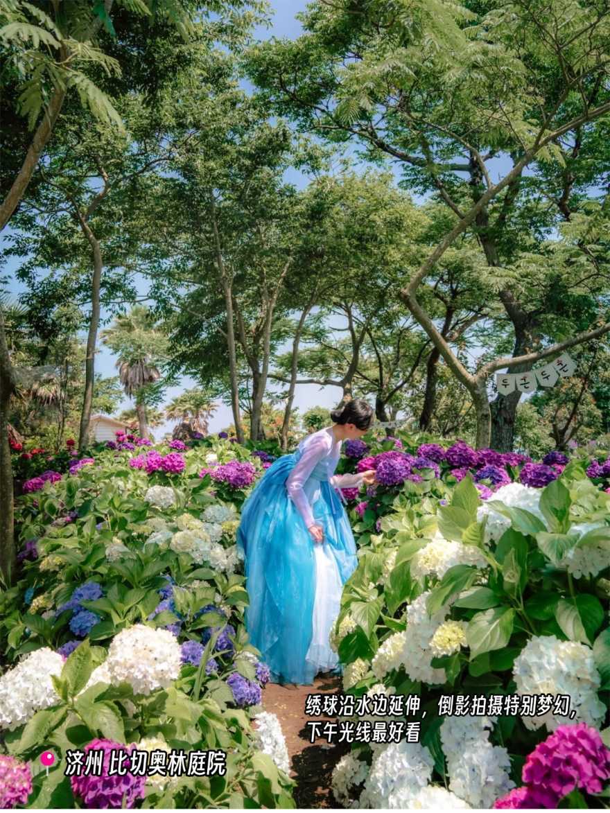 稿定设计-11 稿定设计-11