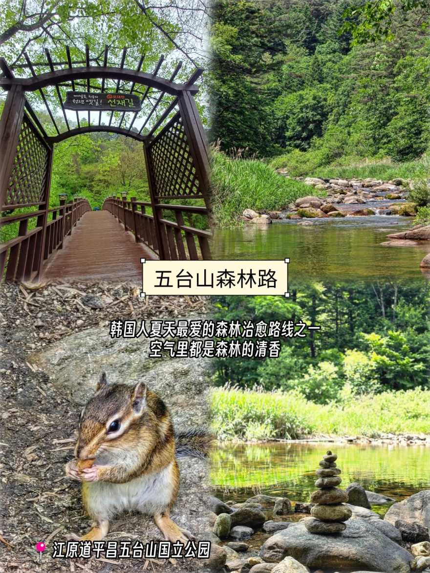 稿定设计-2